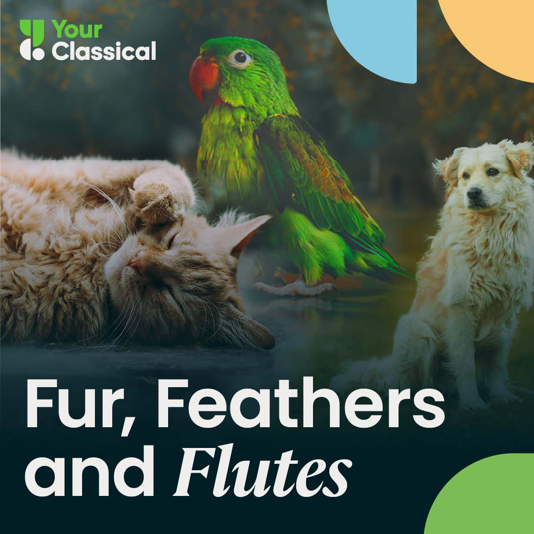  Fur, Feathers and Flutes logo